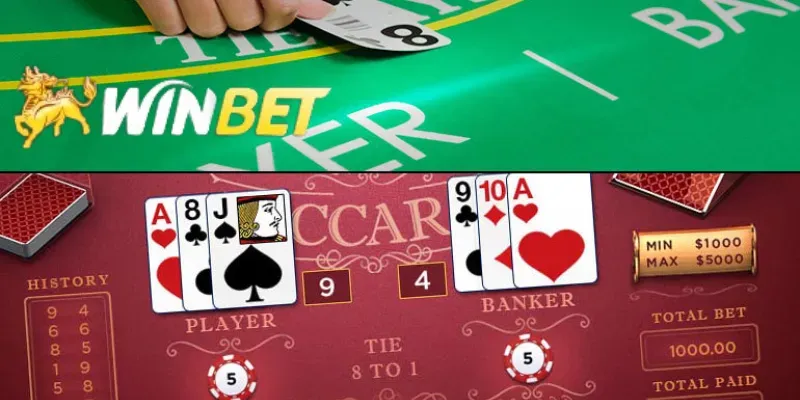 loi-khuyen-choi-casino-baccarat-online 